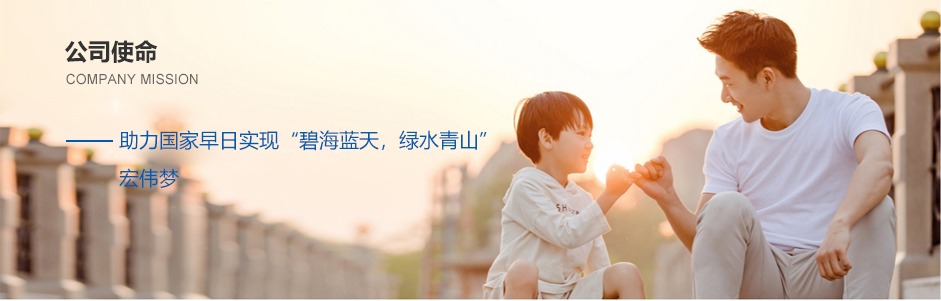 公司使命